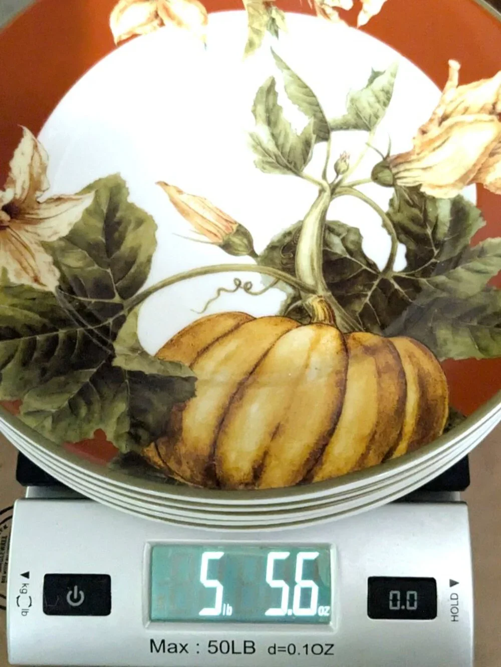 Williams Sonoma BOTANICAL PUMPKIN Salad Plates Set 5 Dark Red Fall 8 1/2